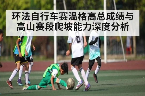 环法自行车赛温格高总成绩与高山赛段爬坡能力深度分析
